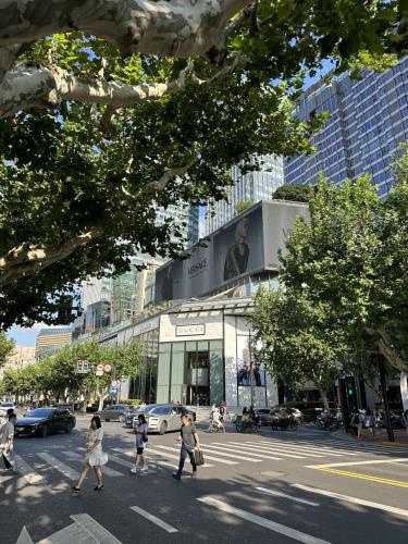 Shanghai Hills& Art Suite 17 - Near Line 1 10 & 12 South Shanxi Road Metro - image 3