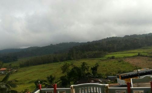 Green Villa - image 2