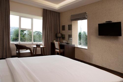 Deluxe Queen Room image 5