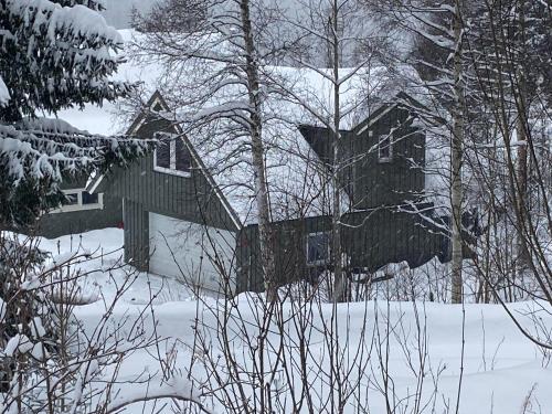 FrysiaHouse in Lillehammer City Center