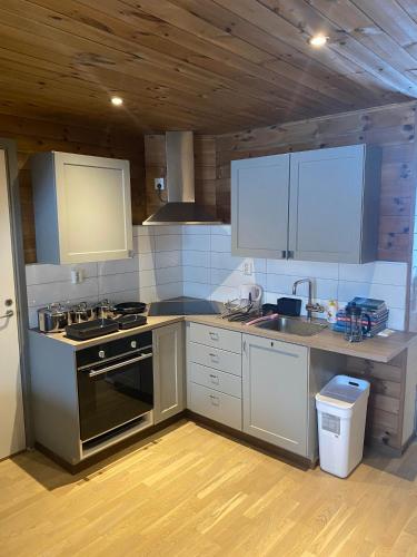 FrysiaHouse in Lillehammer City Center