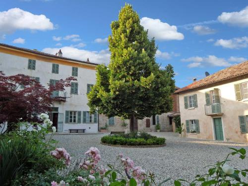 Accommodation in Alfiano Natta