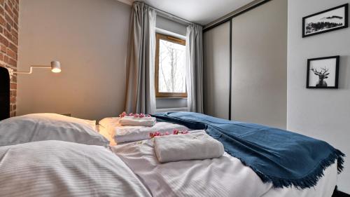 Apartamenty ROYAL APARTS VIP Widok 800 - z panoramą gór, Szklarska Poręba (foto 8)