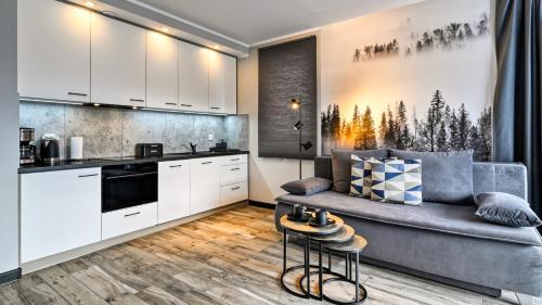 Apartamenty ROYAL APARTS VIP Widok 800 - z panoramą gór, Szklarska Poręba (foto 5)