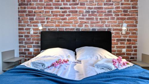 Apartamenty ROYAL APARTS VIP Widok 800 - z panoramą gór, Szklarska Poręba (foto 10)