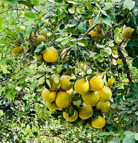 Poco Loco B&B Poco Loco B&B