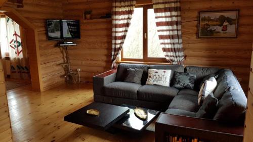 共用Lounge/電視區, Villa Maxim in 斯希德尼齊亞