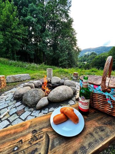 حديقة, Apartmán Vista Rokytnice (Apartman Vista Rokytnice) in روكيتنايس ناد جيزيرو