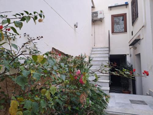 La Lunetta - romantic little house, Palermo (photo 6)