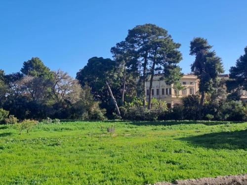 La Lunetta - romantic little house, Palermo (photo 7)