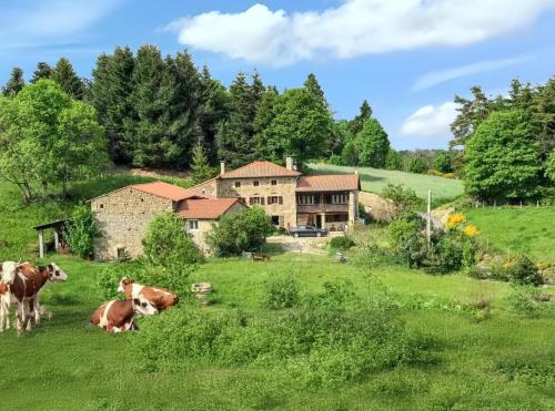 Maison rustique à Saint-Hilaire 280m² avec cheminée 14 personnes gîte à louer Cusson