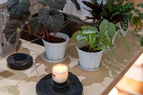 Xi'an Jasmine Boutique Inn – Xi'an City, LA