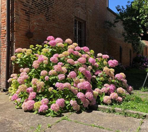 PALAZZO SABBIONI SUITE DEL CONTE Elegant Suite In Old Monastery City Center