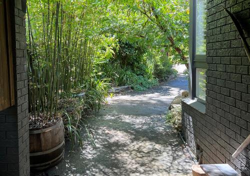 NEW Serene Modern Oasis