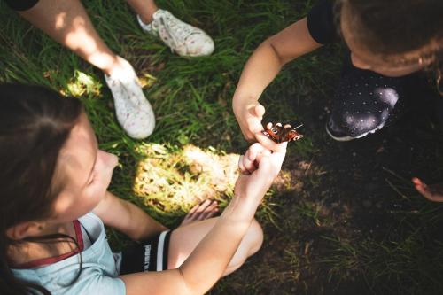 Grasmus I Kalme Woning met Openhaard en Tuin Grasmus I Kalme Woning met Openhaard en Tuin