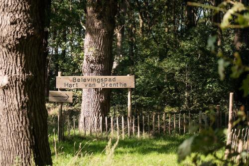 Grasmus I Kalme Woning met Openhaard en Tuin Grasmus I Kalme Woning met Openhaard en Tuin