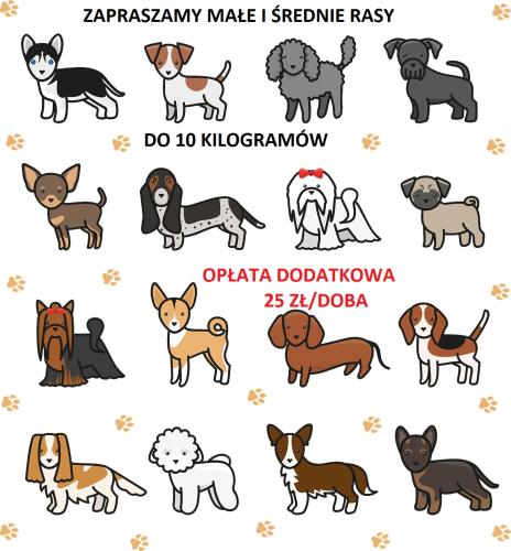Apartamenty Dębina
