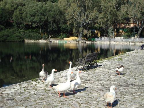 Sea Breeze Apartment - image 2