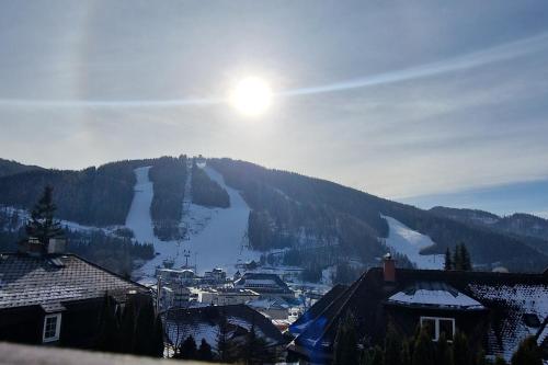 Der Löffler am Semmering - image 10