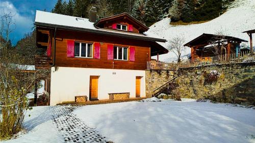 外部景觀, Chalet Sonnenhof Wengen in 上勒舒爾特瓦爾德