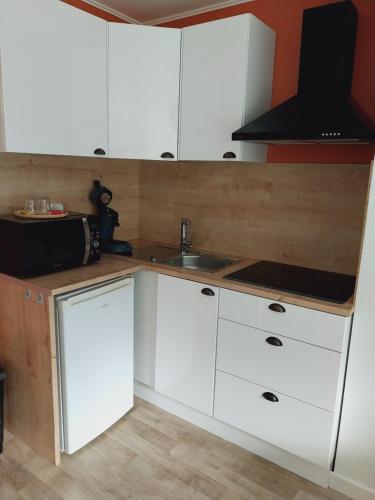 superbe grand studio tout confort avec exterieur 5