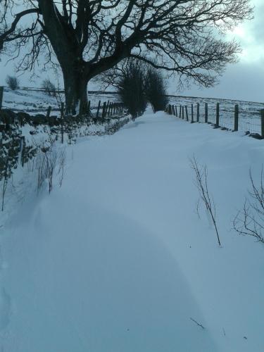 Old Coach House At The Golden Lion - image 11