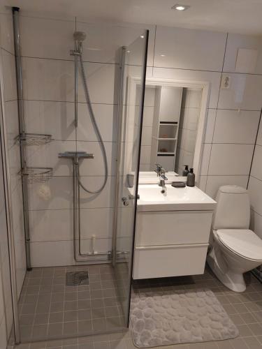 Bathroom, Vakantiehuis met sauna en hot tub in Hajom