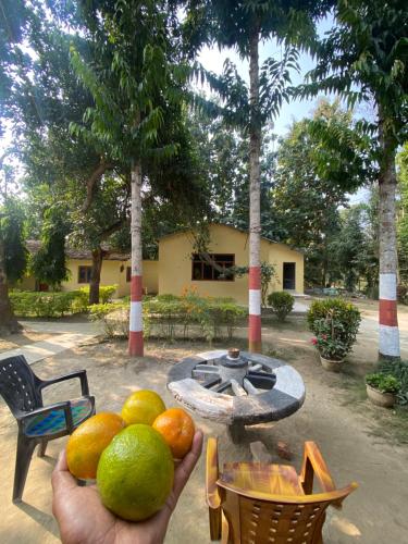 Bardia Wild Side Hotel in Bardiya