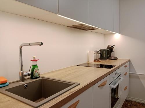 City center Raua apartment with balcony, Tallinn (foto 7)