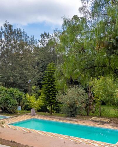 Pine 2 bedroom apartment with a pool, Nanyuki (fotografie 4)