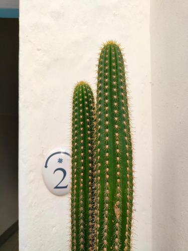 B&B Palazzo del Capitolo - image 4