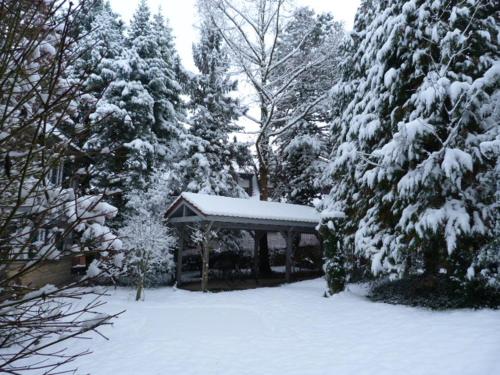 Maisonette-Appartment in historischem Ambiente Maisonette-Appartment in historischem Ambiente