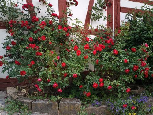Maisonette-Appartment in historischem Ambiente Maisonette-Appartment in historischem Ambiente