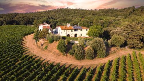 Loretta - Private holiday apartment with shared pool, Montelupo Fiorentino (Foto 8)