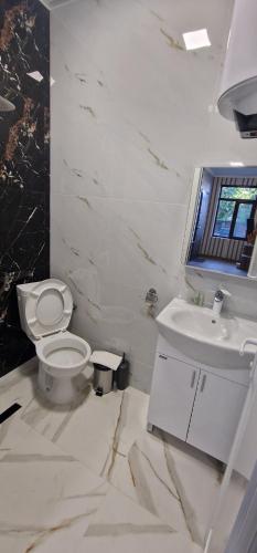 Стаи за гости Георги Сава Раковски 97, Tărgovište (fotografie 9)