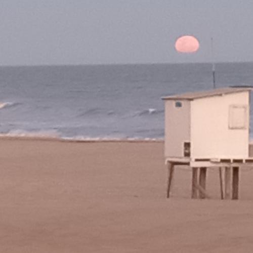 Gesell Norte Mar y Bosque