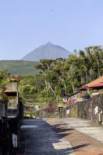 Aldeia das Adegas - image 10