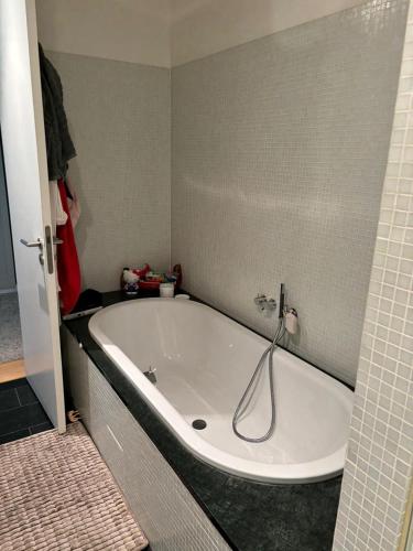 Wunderschönes Zimmer in einem großen Appartement neben dem Brandenburger Tor und vom Adlon Hotel, Берлин (фото 4)