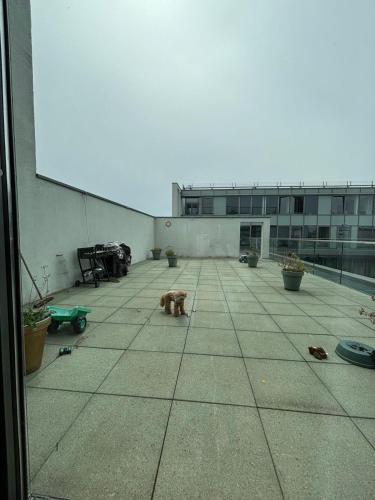 Wunderschönes Zimmer in einem großen Appartement neben dem Brandenburger Tor und vom Adlon Hotel, Берлин (фото 8)