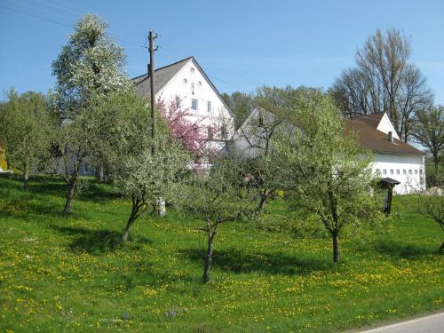 Wohnung in Rotthalmünster mit Garten, Andriching (foto 8)