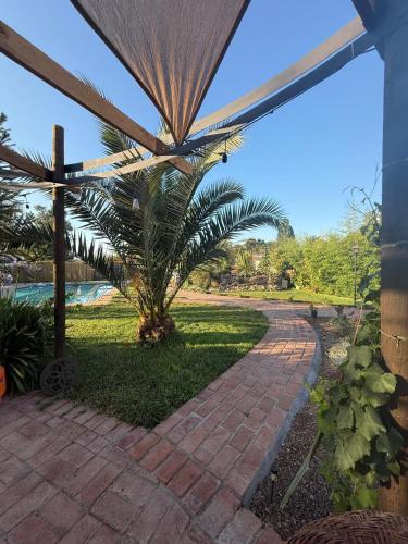 花園, Hostal Campo Divino in 帕爾米利亞