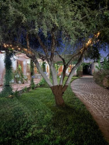 花園, Hostal Campo Divino in 帕爾米利亞