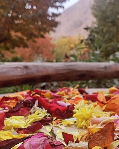 Auberge De La Vallée Auberge De La Vallée