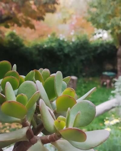 Auberge De La Vallée Auberge De La Vallée