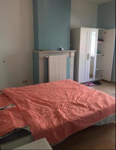 Maison partage clé rouge petit, Bruxelles (foto 6)
