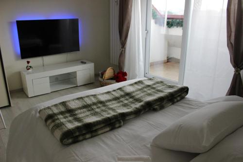 New Green Hill Apartment - Colli Portuensi, Rome (photo 5)