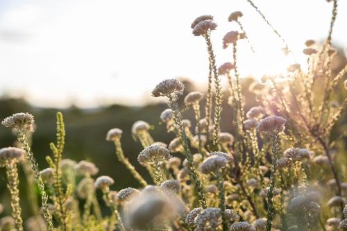 Storm's Hollow - Forest Cabin in Wittedrift
