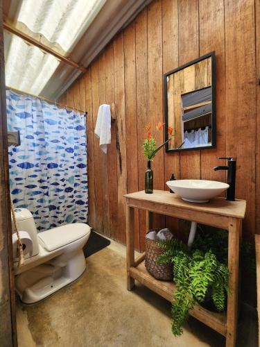 PRIMITIVO LODGE & dive center