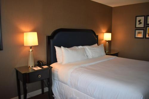 Sheraton Lisle Naperville Hotel - image 14