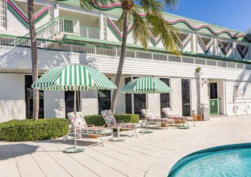 Palm Tree Club Miami